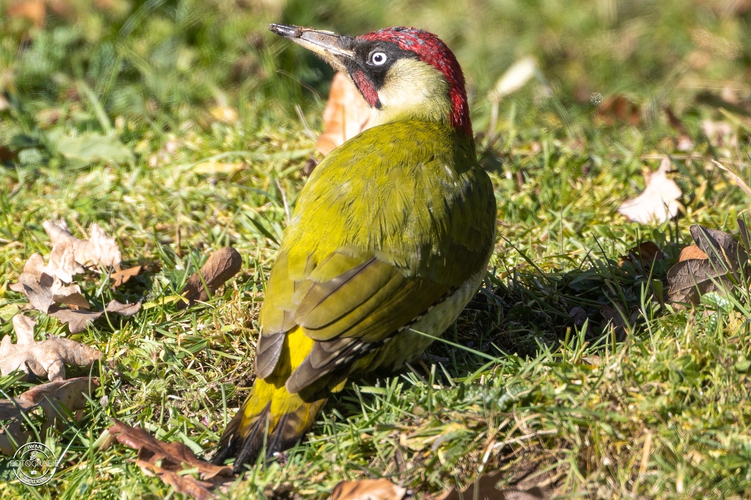 11 maart 2023 140324 1R2A0236 bewerkt